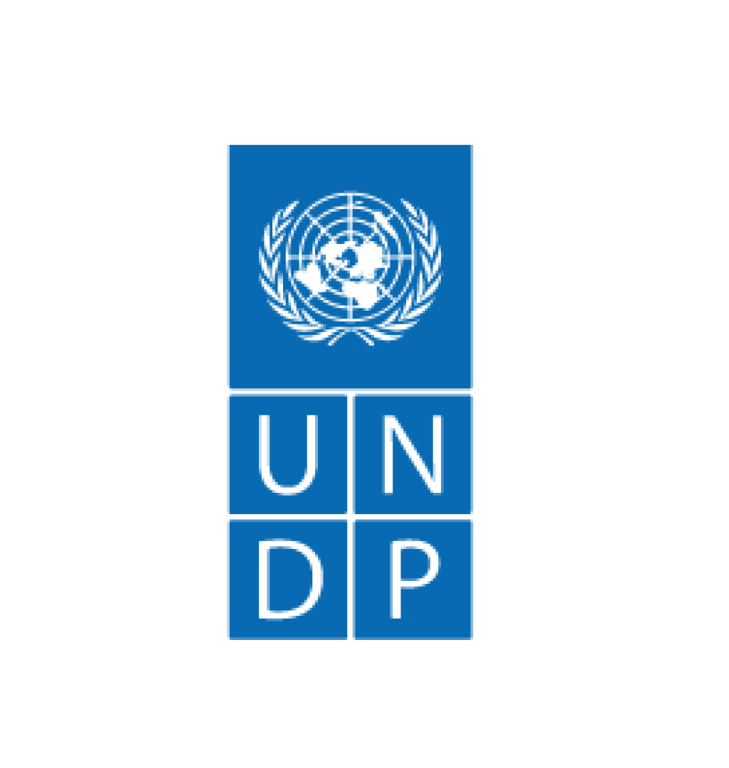 برنامج الاُمم المتحدة الإنمائي (UNDP)